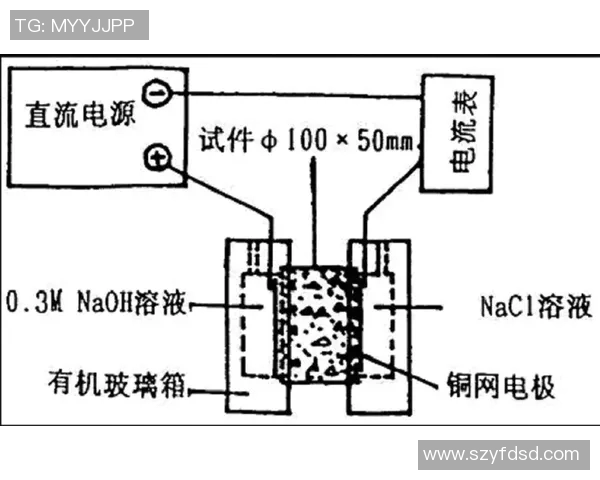 重庆羽毛球队边路渗透战术分析及其对比赛结果的影响探讨